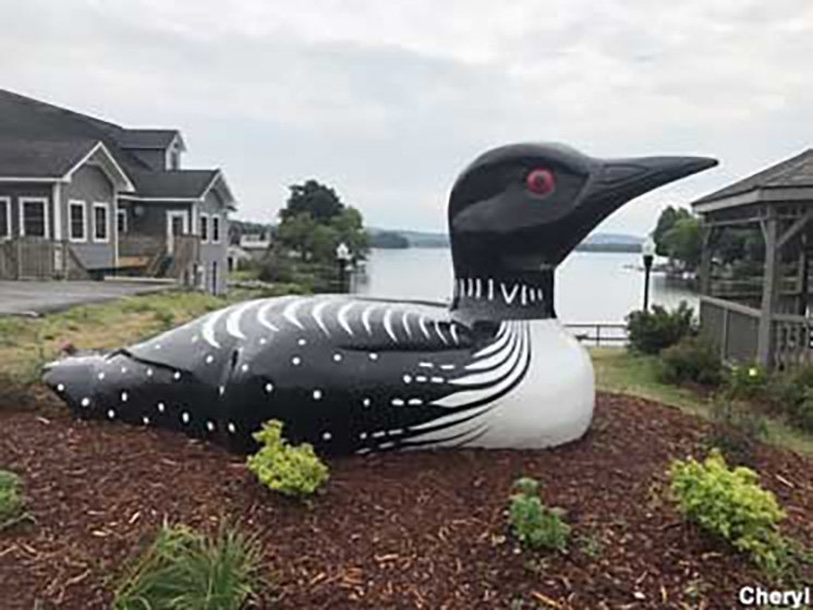 Visit the Lincoln Loon when you stay at Cozy Knoll Cabins