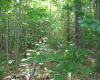 Black Point Road, Danforth, Maine 04424, ,Waterfront Lot,Active,Black Point Road,1006