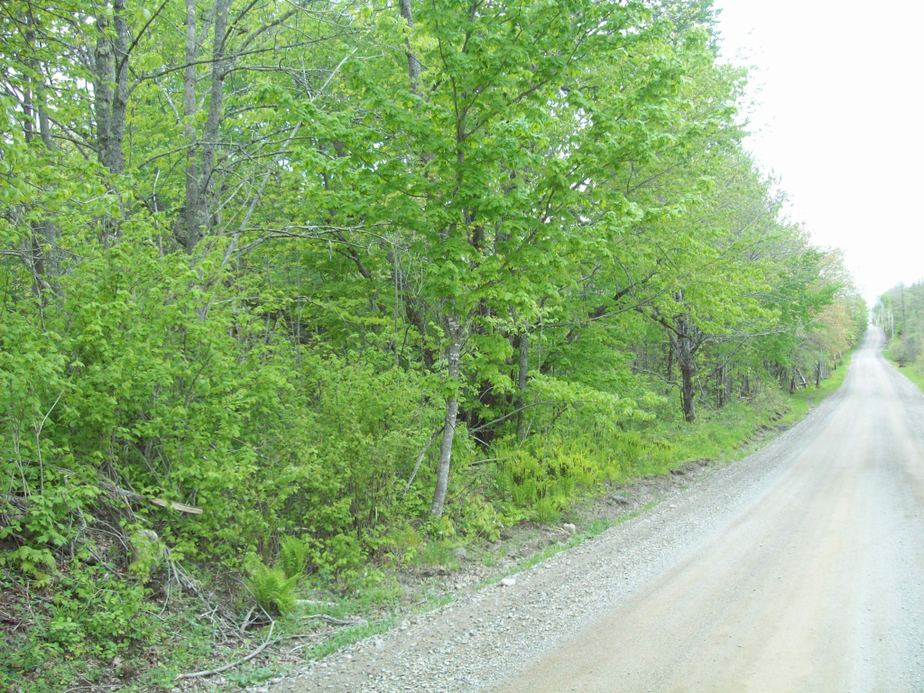 Thomas Hill Road, Lee, Maine 04455, ,Land,Active,Thomas Hill,1009