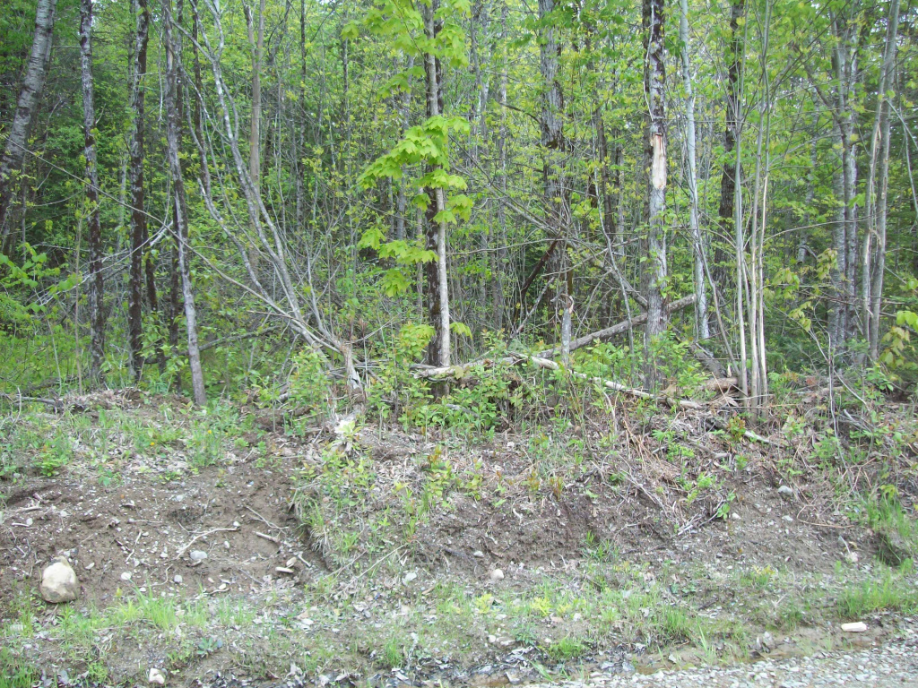 Thomas Hill Road, Lee, Maine 04455, ,Land,Active,Thomas Hill,1009