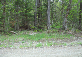 Thomas Hill Road, Lee, Maine 04455, ,Land,For Sale,Thomas Hill,1009