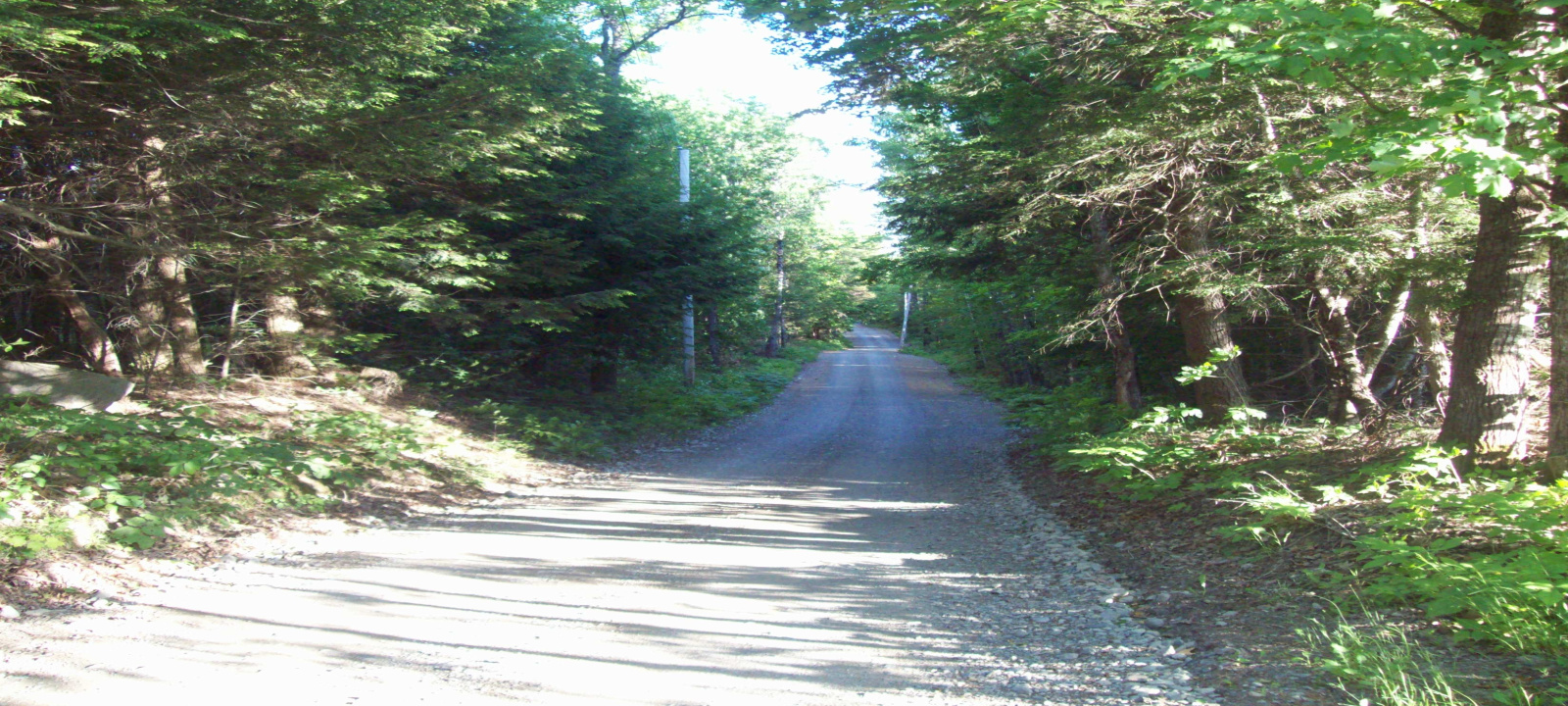 Old Steamboat Road, Lee, Maine 04455, ,Land,Active,Old Steamboat,1010