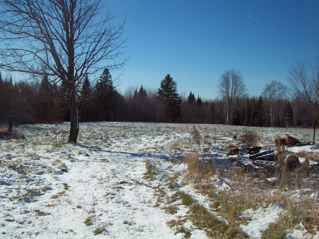 51 & 53 Andrews Road, Drew PLT, Maine 04497, 4 Bedrooms Bedrooms, 6 Rooms Rooms,1 BathroomBathrooms,House,Active,Andrews,1012