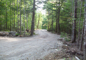 off Engstrom Road, T3 R1 NBPP, Maine 04455, ,Land,For Sale,off Engstrom,1015