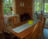 Maine, 2 Bedrooms Bedrooms, ,3 BathroomsBathrooms,Waterfront Camp/House,Active,1018