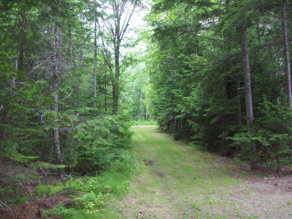 Maine, ,Waterfront Lot,Active,1019