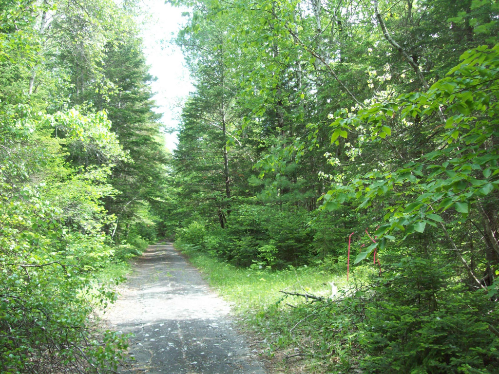 Maine, ,Land,Active,1023