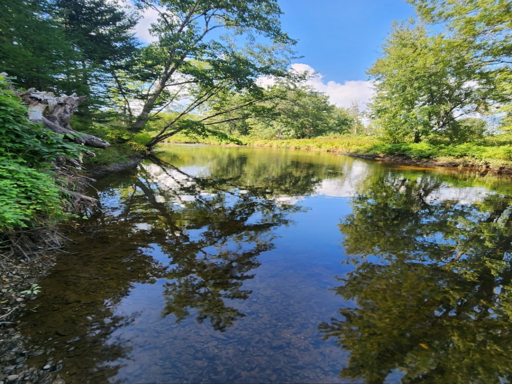 Maine, ,Land,Active,1023