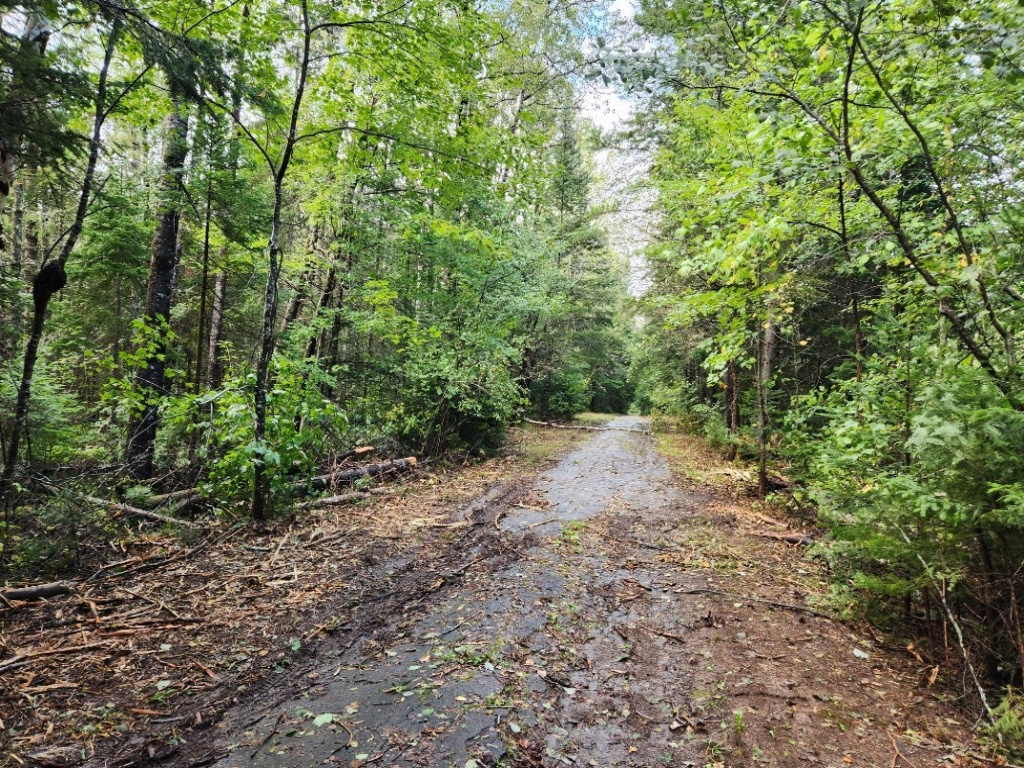 Maine, ,Land,Active,1023