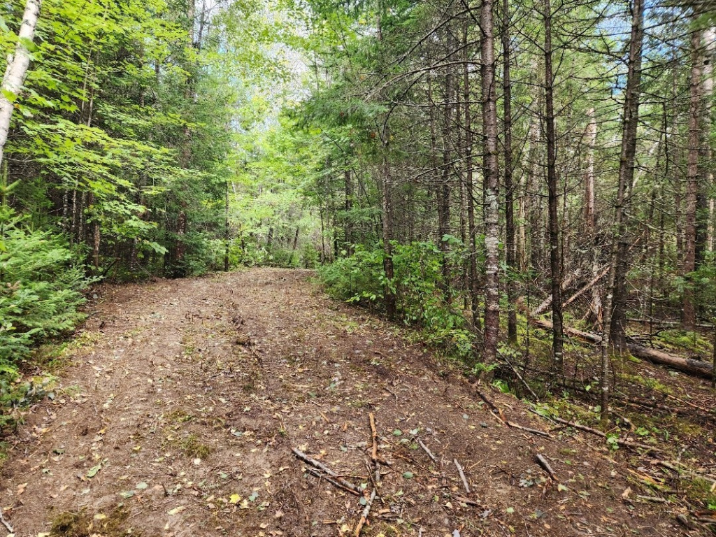 Maine, ,Land,Active,1023