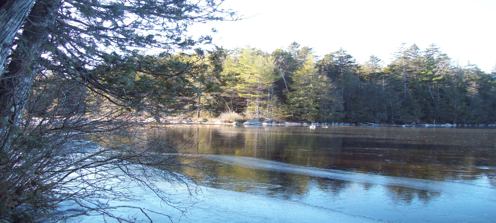 278 Lombard Rd, Lakeville, Maine 04487, 1 Bedroom Bedrooms, 2 Rooms Rooms,Waterfront Camp/House,Active,Lombard,1001