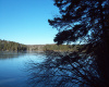 278 Lombard Rd, Lakeville, Maine 04487, 1 Bedroom Bedrooms, 2 Rooms Rooms,Waterfront Camp/House,Active,Lombard,1001